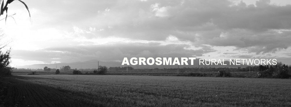 AGROSMART rural networks